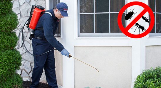 Yedisu Dezenfeksiyon böcek ilaçlama ve haşere kontrolü — ilaclama-tr.com